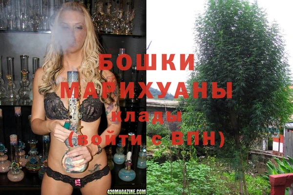 эйфоретик Алзамай