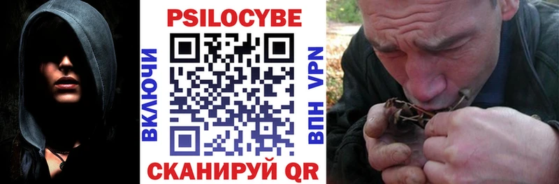 Псилоцибиновые грибы Psilocybe  цена наркотик  Клин 