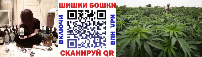 Шишки марихуана Amnesia  Клин 